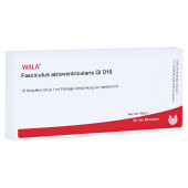 FASCICULUS atrioventricularis GL D 10 Ampullen (PZN 3357582)