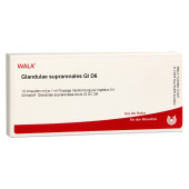 GLANDULAE SUPRARENALES GL D 6 Ampullen (PZN 2829582)