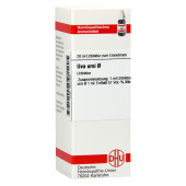 UVA URSI Urtinktur (PZN 2623395)