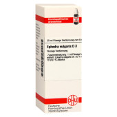 EPHEDRA VULGARIS D 3 Dilution (PZN 2613161)