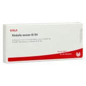 MEDULLA OSSIUM GL D 4 Ampullen (PZN 2831248)