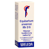 EQUISETUM ARVENSE Rh D 6 Dilution (PZN 1630140)