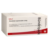 GLANDULAE SUPRARENALES comp.Ampullen (PZN 2085845)