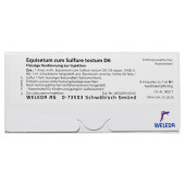 EQUISETUM CUM Sulfure tostum D 6 Ampullen (PZN 1621945)
