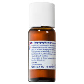 BRYOPHYLLUM D 1 Dilution (PZN 1613087)