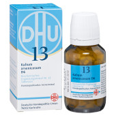 BIOCHEMIE DHU 13 Kalium arsenicosum D 6 Tabletten (PZN 2581082)