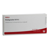 BINDEGEWEBE GL D 12 Ampullen (PZN 3359606)