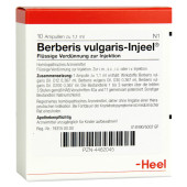 BERBERIS VULGARIS INJEEL Ampullen (PZN 4462045)