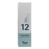 BIOCHEMIE Pflüger 12 Calcium sulfuricum Creme (PZN 5992839)