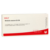 MEDULLA OSSIUM GL D 6 Ampullen (PZN 3356140)