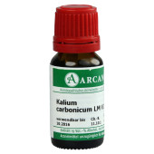 KALIUM CARBONICUM LM 6 Dilution (PZN 7540691)