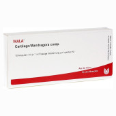 CARTILAGO/Mandragora comp.Ampullen (PZN 1751139)