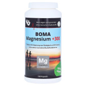 MAGNESIUM+300 Kapseln (PZN 11157880)