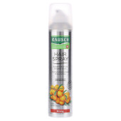 RAUSCH HAIRSPRAY strong Aerosol (PZN 12472974)