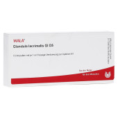 GLANDULA LACRIMALIS GL D 5 Ampullen (PZN 2923157)