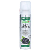 RAUSCH Dry Shampoo fresh Dosierspray (PZN 13722545)