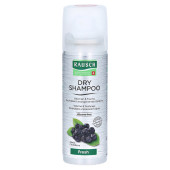 RAUSCH Dry Shampoo fresh Dosierspray (PZN 13722551)