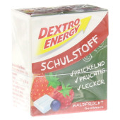 DEXTRO ENERGY Schulstoff Waldfrucht Täfelchen (PZN 9245967)