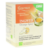INGWER ORANGE Spicy Tee Salus Filterbeutel (PZN 9003980)