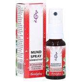 Mundspray (PZN 3093717)