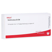 VENTRICULUS GL D 6 Ampullen (PZN 2831188)