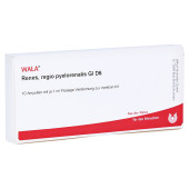 RENES REGIO pyelorenalis GL D 6 Ampullen (PZN 3354804)