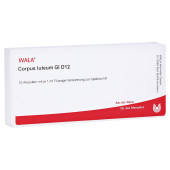 CORPUS LUTEUM GL D 12 Ampullen (PZN 3360176)