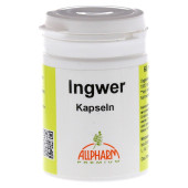 INGWER KAPSELN 300 mg (PZN 2771380)