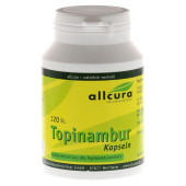 TOPINAMBUR KAPSELN (PZN 1452939)