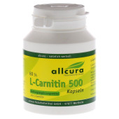 L-CARNITIN KAPSELN 500 (PZN 586052)