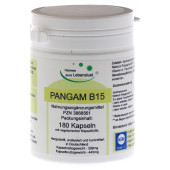 PANGAM Vitamin B15 Vegi Kapseln (PZN 3868561)