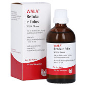 BETULA E foliis W 5% Oleum (PZN 2088252)