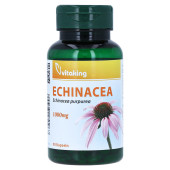 ECHINACEA 1000 mg Kapseln (PZN 15571079)