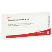 GLANDULAE SUPRARENALES GL D 12 Ampullen (PZN 3356803)
