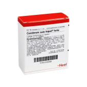 CEREBRUM SUIS Injeel forte Ampullen (PZN 193358)