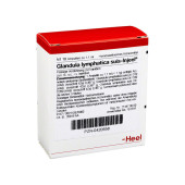 GLANDULA LYMPHATICA suis Injeel Ampullen (PZN 420558)