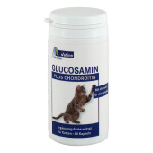 GLUCOSAMIN+CHONDROITIN Kapseln für Katzen (PZN 12362866)
