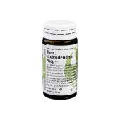 RHUS TOXICODENDRON PHCP Globuli (PZN 359801)