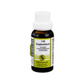EUPHORBIUM KOMPLEX Nr.142 Dilution (PZN 354034)