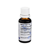 JUGLANS REGIA D 6 Dilution (PZN 554282)