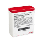 MEDULLA SPINALIS suis Injeel Ampullen (PZN 664326)