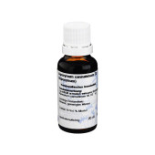 APOCYNUM D 2 Dilution (PZN 60108)