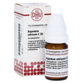 ARGENTUM NITRICUM C 30 Globuli (PZN 2889940)