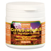 CISTUS INCANUS Vegi-Kaps 400 mg (PZN 4959828)