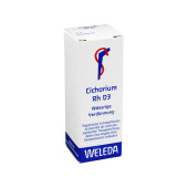 CICHORIUM PLANTA tota Rh D 3 Dilution (PZN 1630039)