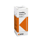SYNERGON KOMPLEX 57 Ceanothus Tropfen (PZN 998139)
