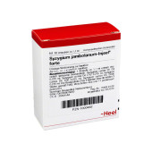 SYZYGIUM JAMBOLANUM INJEEL forte Ampullen (PZN 1000462)