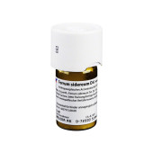 FERRUM SIDEREUM D 6 Trituration (PZN 1616200)