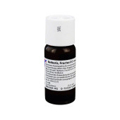 BERBERIS FRUCTUS D 3 Dilution (PZN 1613006)