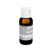 OENOTHERA ARGENTO culta D 3 Dilution (PZN 1168322)